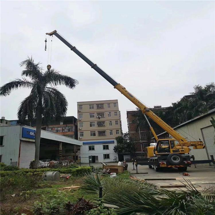 城中吊车吊大树几种方法